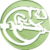 Logo de la société KAMELEON